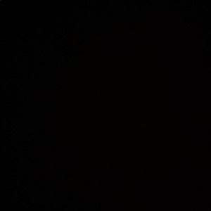 Meet your Posher, Lexi